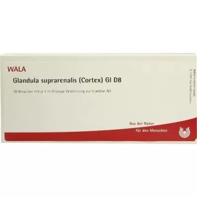 GLANDULA SUPRARENALIS cortex GL D 8 ampulla, 10X1 ml