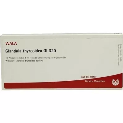 GLANDULA THYREOIDEA GL D 20 Ampulla, 10X1 ml