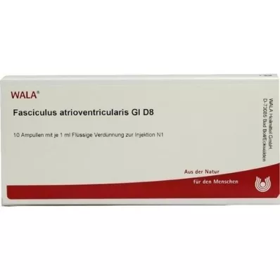FASCICULUS atrioventricularis GL D 8 ampulla, 10X1 ml
