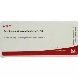FASCICULUS atrioventricularis GL D 8 ampulla, 10X1 ml