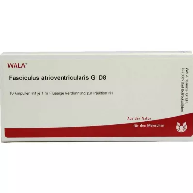 FASCICULUS atrioventricularis GL D 8 ampulla, 10X1 ml FASCICULUS atrioventricularis GL D 8 ampulla, 10X1 ml