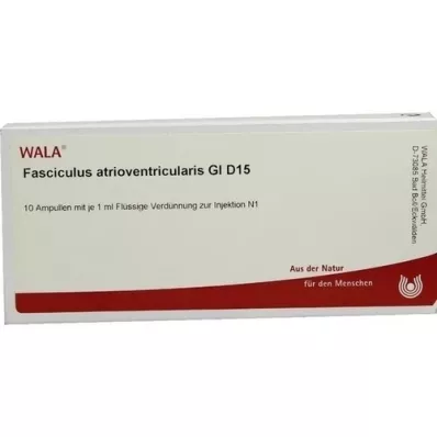 FASCICULUS atrioventricularis GL D 15 ampulla, 10X1 ml