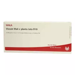 VISCUM MALI e planta tota D 10 ampulla, 10X1 ml