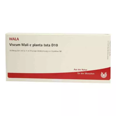VISCUM MALI e planta tota D 10 ampulla, 10X1 ml