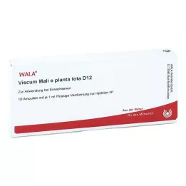 VISCUM MALI e planta tota D 12 ampulla, 10X1 ml