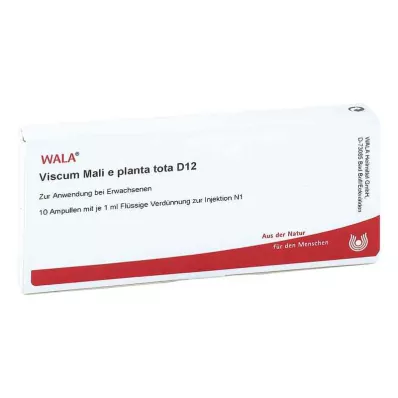 VISCUM MALI e planta tota D 12 ampulla, 10X1 ml VISCUM MALI e planta tota D 12 ampulla, 10X1 ml