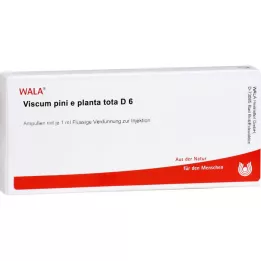 VISCUM PINI e planta tota D 6 ampulla, 10X1 ml