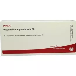 VISCUM PINI e planta tota D 8 ampulla, 10X1 ml