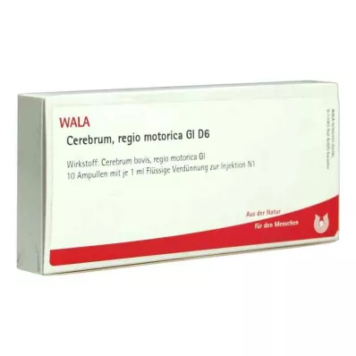 Cerebrum Regio Motor Gl D6 ampulla (10x1 ml)