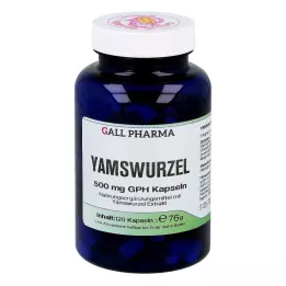 YAMSWURZEL 500 mg GPH kapszula, 120 db