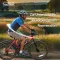 TRAUMEEL S tabletta, 250 db
