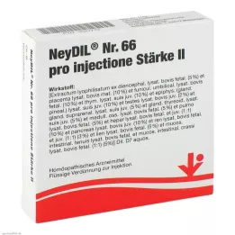 NEYDIL No.66 pro injectione St.2 ampullák, 5X2 ml