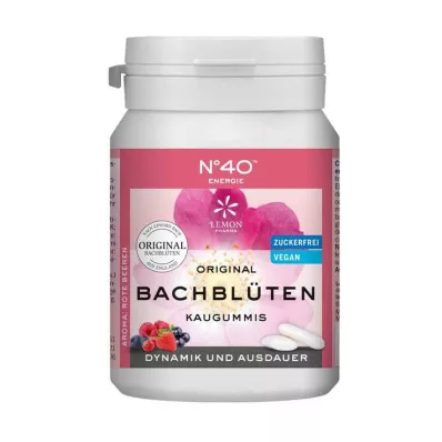 ENERGIE KAUGUMMI Dr.Bach szerint 40 db ENERGIE KAUGUMMI Dr.Bach szerint 40 db