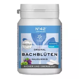 SELBSTVERTRAUEN Rágógumi Dr.Bach szerint, 40 db
