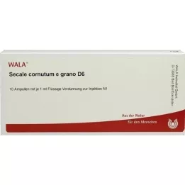 SECALE CORNUTUM E grano D 6 ampulla, 10X1 ml