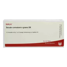 SECALE CORNUTUM E grano D 6 ampulla, 10X1 ml