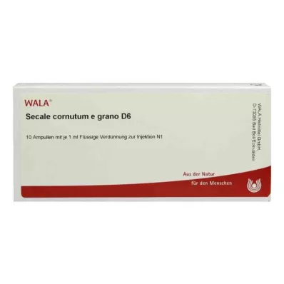 Secale Cornutum E Grano D6 ampulla (10x1 ml)