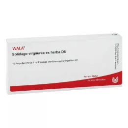 SOLIDAGO VIRGAUREA ex herba D 6 ampulla, 10X1 ml