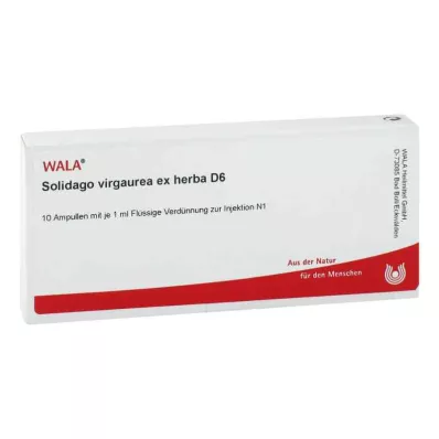 Solidago Virgaurea ex herba D6 ampulla (10x1 ml)