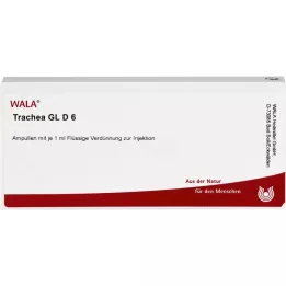 TRACHEA GL D 6 ampulla, 10X1 ml