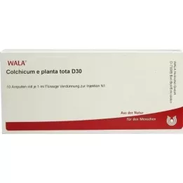 COLCHICUM E planta tota D 30 ampulla, 10X1 ml