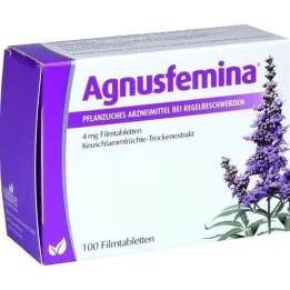 AGNUSFEMINA 4 mg filmtabletta, 100 db