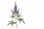 Instructions for use for Agnusfemina 4 mg filmtabletta, 100 db - 3