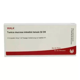 TUNICA nyálkahártya intestini tenuis GL D 5 ampulla, 10X1 ml