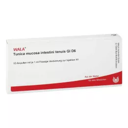 TUNICA nyálkahártya intestini tenuis GL D 6 ampulla, 10X1 ml