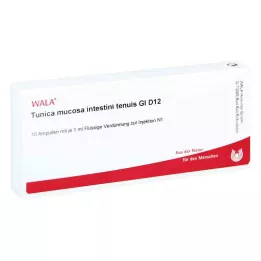 TUNICA nyálkahártya intestini tenuis GL D 12 ampulla, 10X1 ml