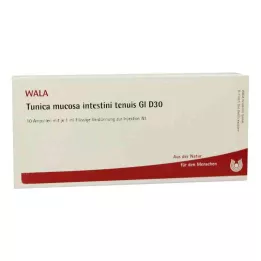 TUNICA mucosa intestini tenuis GL D 30 ampulla, 10X1 ml