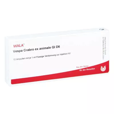 Vespa Crabro Ex Animale Gl D6 ampullák (10x1 ml)