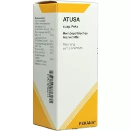 ATUSA spag.peka gyümölcslé, 125 ml