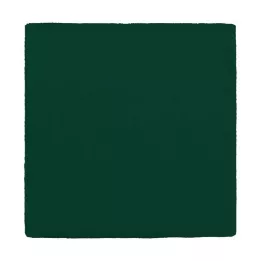 MULLKOMPRESSEN 10x10 cm 12x zöld, 100 db