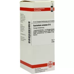 EQUISETUM ARVENSE D 6 Hígítás, 50 ml