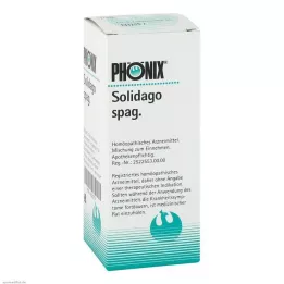 PHÖNIX SOLIDAGO spag.keverék, 100 ml