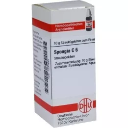 SPONGIA C 6 golyócskák, 10 g