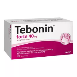 TEBONIN forte 40 mg filmtabletta, 200 db