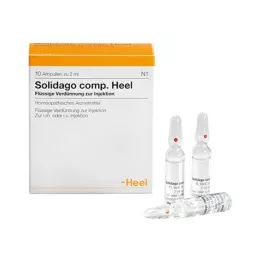 SOLIDAGO COMP.sarokampullák, 10 db