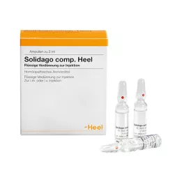 SOLIDAGO COMP.sarokampullák, 100 db
