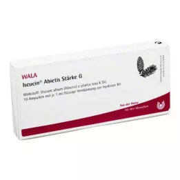 ISCUCIN abietis keményítő G ampullák, 10X1 ml
