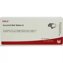 ISCUCIN mali Starch G Ampullák, 10X1 ml