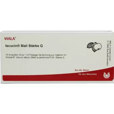 ISCUCIN mali Starch G Ampullák, 10X1 ml