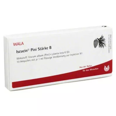 ISCUCIN pini keményítő B ampullák, 10X1 ml