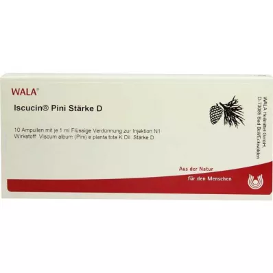 Iscucin Pini St.D ampullák, 10x1 ml