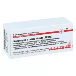 MANDRAGORA E radice siccata LM XXX Gömböcskék, 5 g