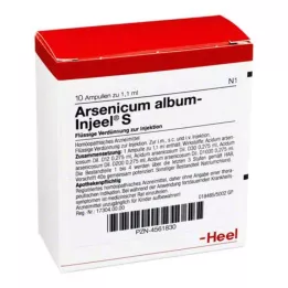 ARSENICUM ALBUM INJEEL S Ampullák, 10 db
