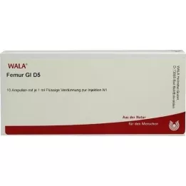 FEMUR GL D 5 ampulla, 10X1 ml