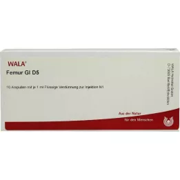 FEMUR GL D 5 ampulla, 10X1 ml