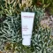 ALOE VERA CREME közeg illatanyag nélkül, 30 ml